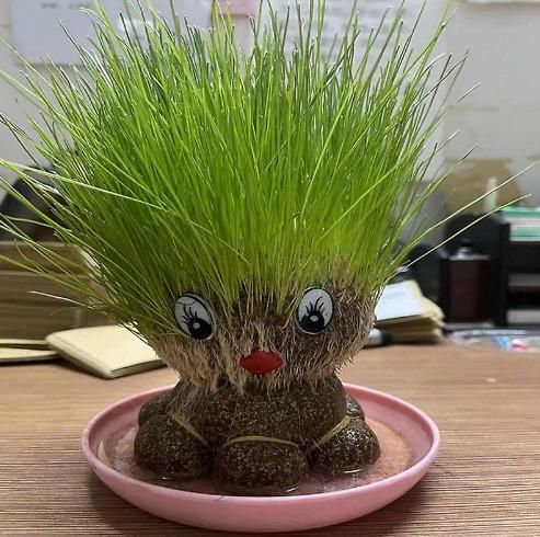 Octopus Grass Hair Doll