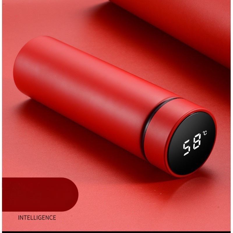 LED Temperature Display Flask