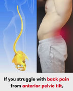 Leg Stretcher & Yoga Flexibility Belt