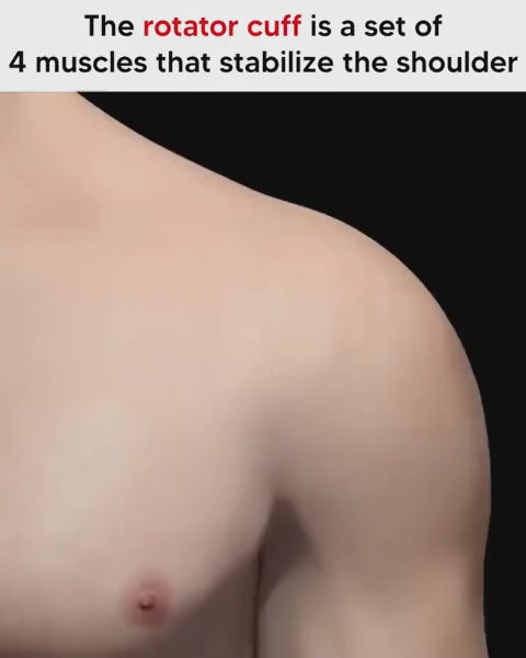 Neoprene Shoulder Support Brace